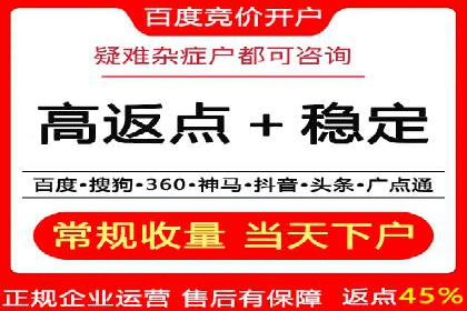 某电商企业如何通过百度竞价广告提升销售额